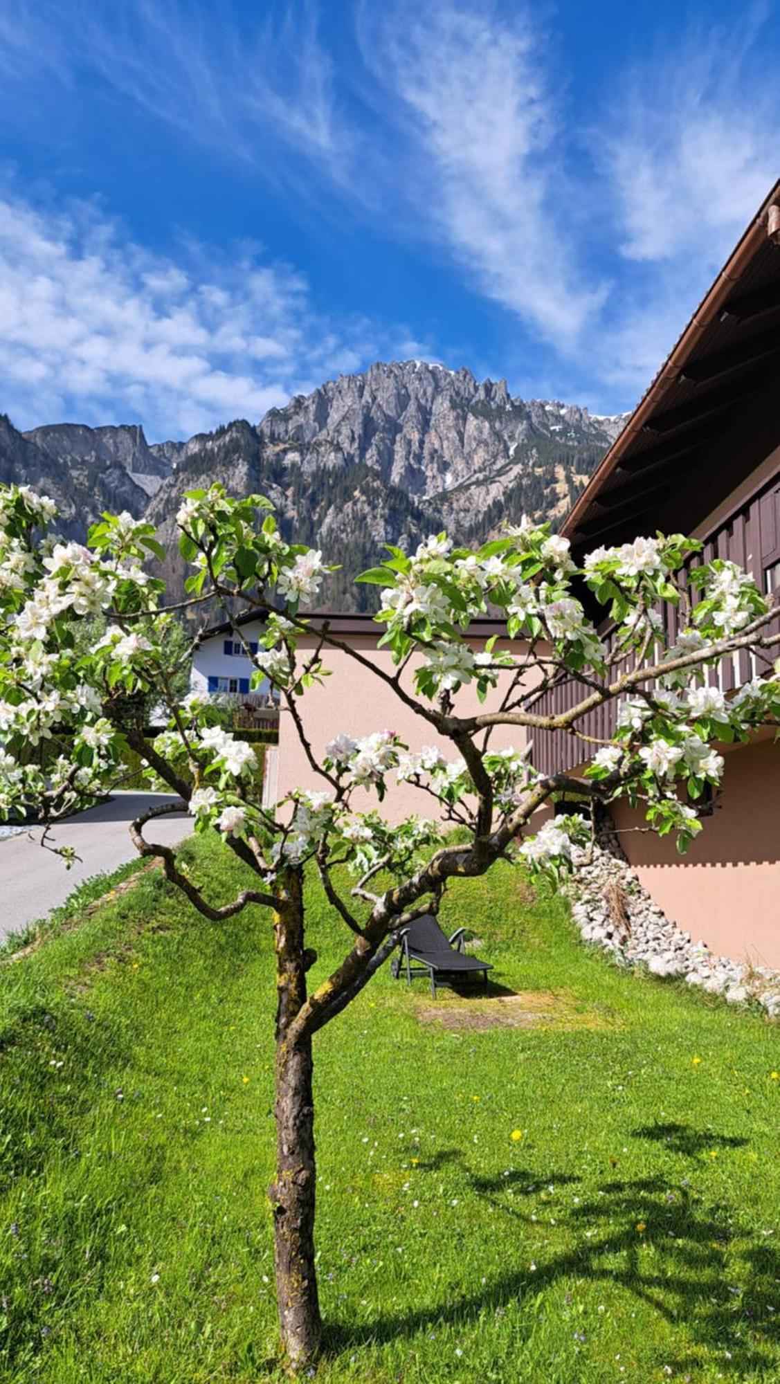 Baers Mountain Stay Ausserbraz Innerbraz Extérieur photo